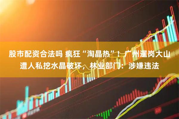 股市配资合法吗 疯狂“淘晶热”！广州暹岗大山遭人私挖水晶破坏，林业部门：涉嫌违法