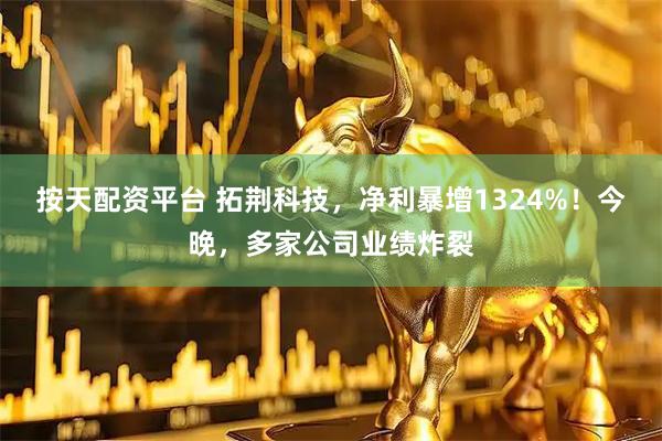 按天配资平台 拓荆科技，净利暴增1324%！今晚，多家公司业绩炸裂
