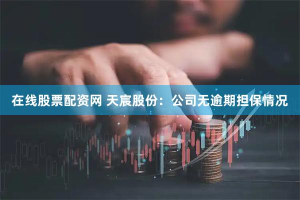 在线股票配资网 天宸股份：公司无逾期担保情况