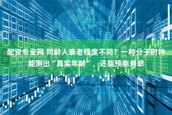 配资专业网 同龄人衰老程度不同？一种分子时钟能测出“真实年龄”，还能预测寿命